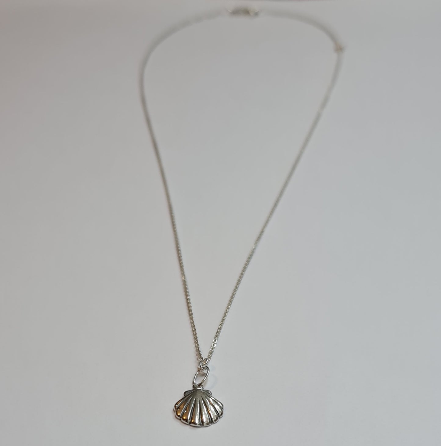 Athena's Silver Scallop Shell Pendant