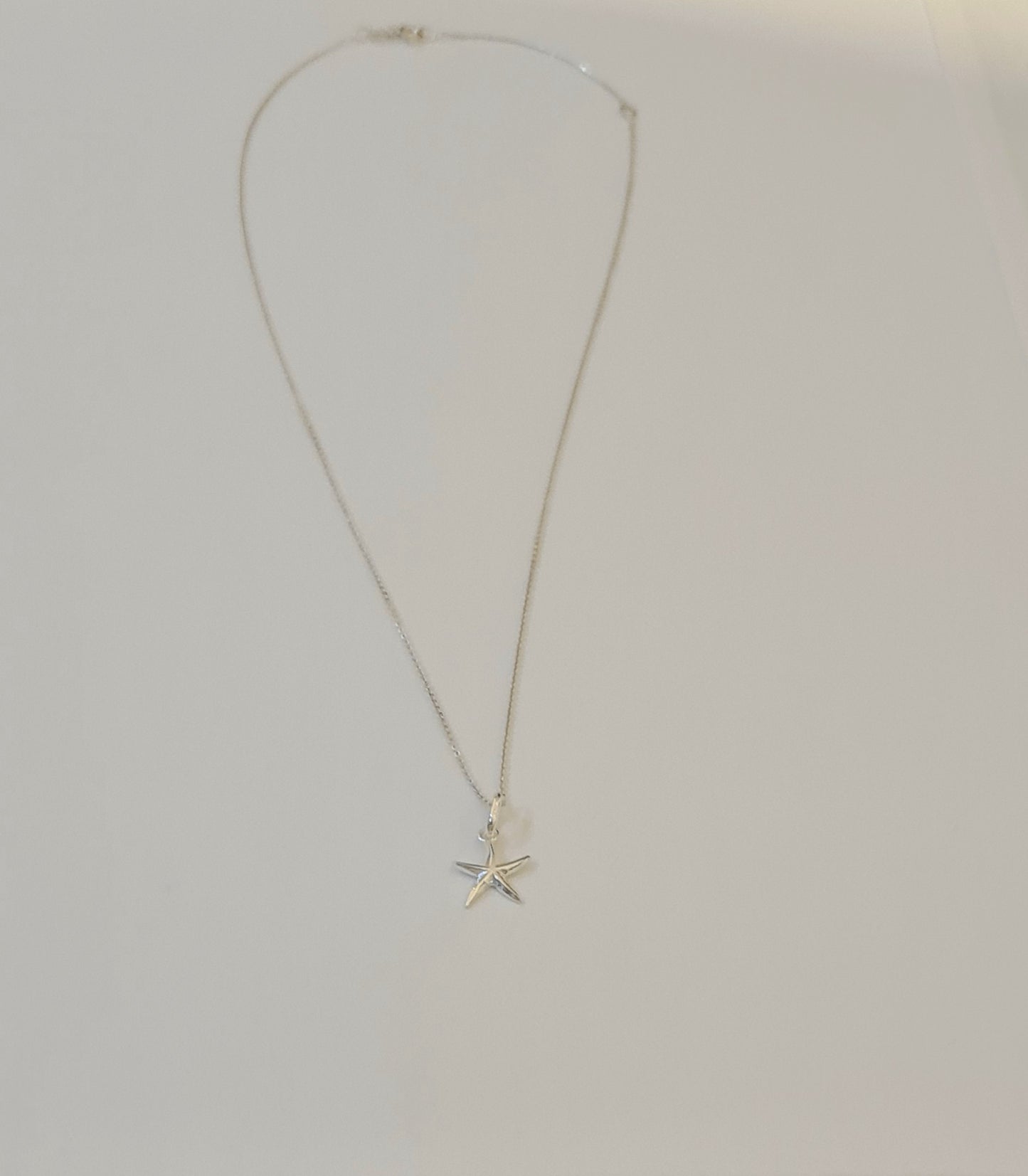 Athena's Silver Starfish Pendant