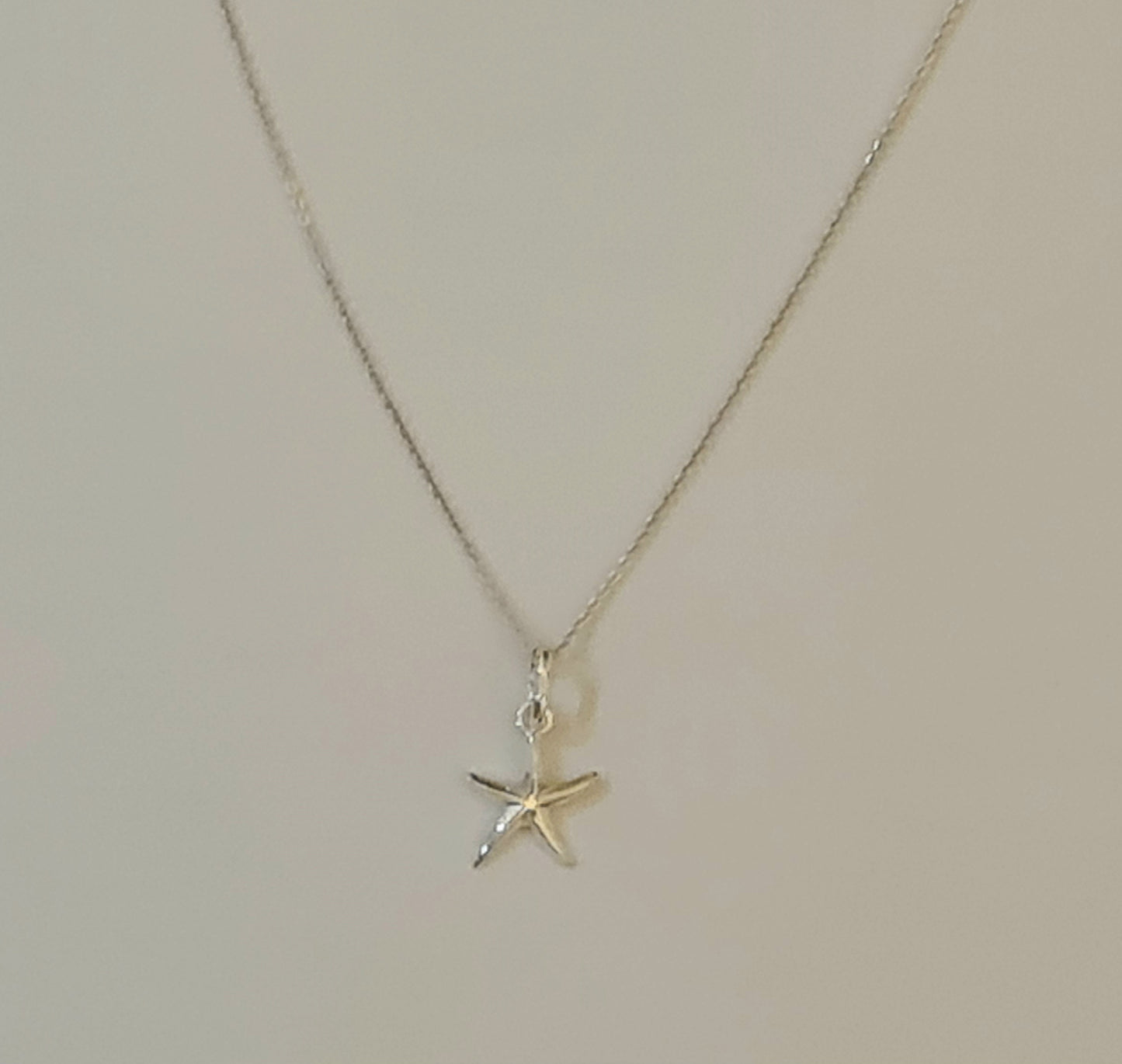 Athena's Silver Starfish Pendant