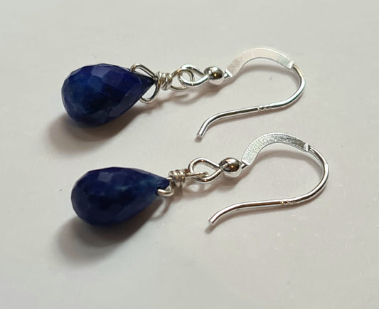 Oceanic Lapis Lazuli Briolette Earrings